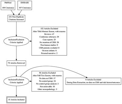 Cerebellar Hemorrhage in Preterm Infants: A Meta-Analysis on Risk Factors and Neurodevelopmental Outcome